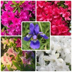 【お題日記】何度も旅行で訪れている都道府県