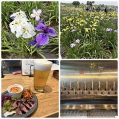 【お題日記】うちのベッドメチャいいもの買ってます