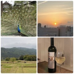 【お題日記】理想のデートプランを朝から夜まで組むなら？