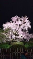 【お題日記】GWの予定って考えてる？