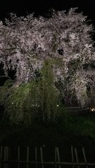 【お題日記】１日の一人Hの最高回数は？