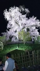 【お題日記】Hな写真を撮った事はある？