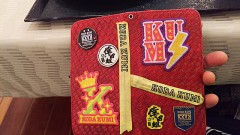 【お題日記】スマホケースどんなの使ってる？