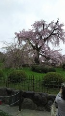 【お題日記】恋人が毎日求めてきたらどうする？