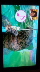 志村どうぶつ園