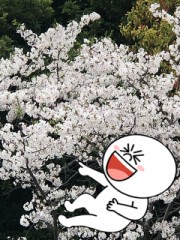 【お題日記】動画配信した経験