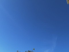 雲ひとつ無い空
