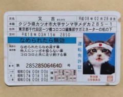 舐めたら、じゃなくって？