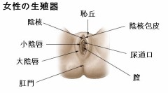 【お題日記】浮気された事ありますか？＋α