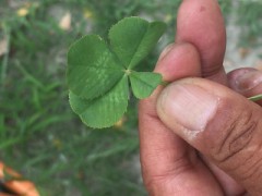 貴女にもどうぞ