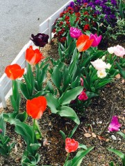 【お題日記】アダルトサイトは良く見る？