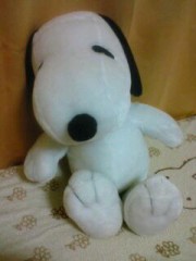 ☆お気に入りのぬいぐるみ☆