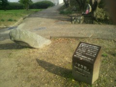 !Σ（￣□￣||| ）飛鳥で見っけた!!