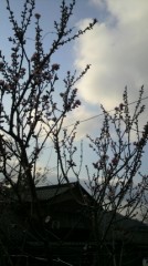 ちょいと山奥へ