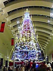 今日は・・・♪