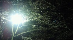 【お題日記】日頃心がけているメール作法