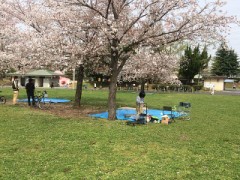 【お題日記】春と言えば？