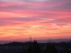 【お題日記】今朝はちゃんと起きられましたか？