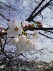 イロイロなことが・・・・