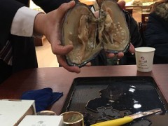 不便ーーーーーー