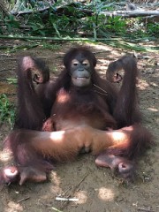 【お題日記】したいと伝えるサインは？