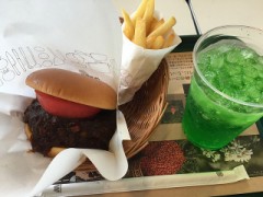 観て来ました♪