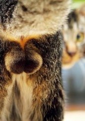 そして    メンテナンス結果