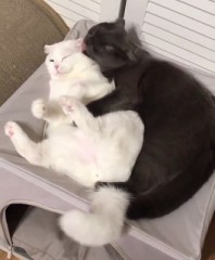 なんだか...最近疲れてるかも