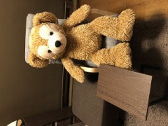 リクライニングチェア