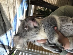 【お題日記】デートした日はやっぱりHしたい？