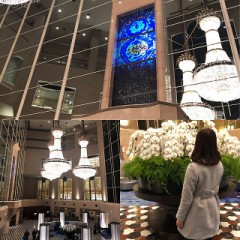 お気に入りの.....