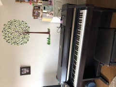 お婿さんに出しました(笑)