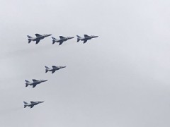 航空祭