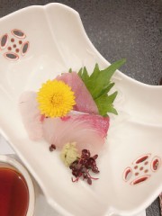ただいま