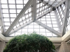 【お題日記】いつか行ってみたいと思うところはどこ？