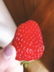 【お題日記】開発されたことある？