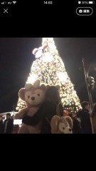 【お題日記】夜、寂しくなったらどうする？