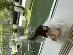 【お題日記】理想の人像って変わった？