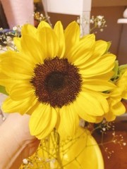 癖とか、願望とか、希望とか、欲求とか