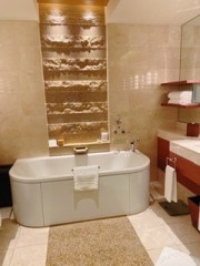 【お題日記】宝くじが当たったら欲しいもの