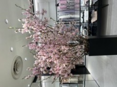 【お題日記】人前でキス出来る？