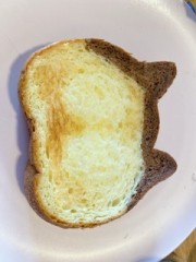 【お題日記】免疫気にしてる？