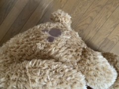 【お題日記】五感の中でどれが敏感？