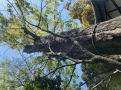 【お題日記】束縛がきつい人ってどう？