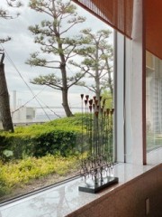 【お題日記】もしこれから家を建てるならどこに拘る？