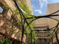 【お題日記】好きになっちゃいそうになる仕草