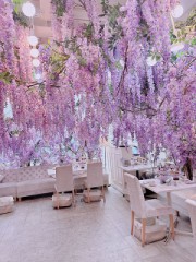 【お題日記】こんな映え写真撮りました