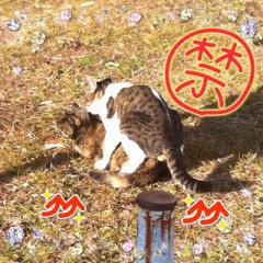 すごくエッチな写メ☆注目だよ