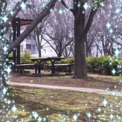 金曜日だね(^○^)