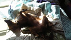 そんな、恰好で…